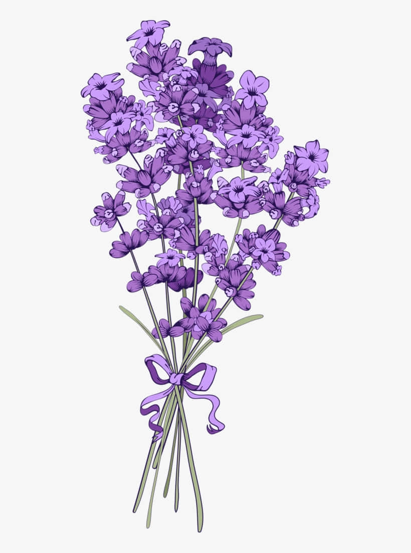 Blomme Agtergrond Muurpapier