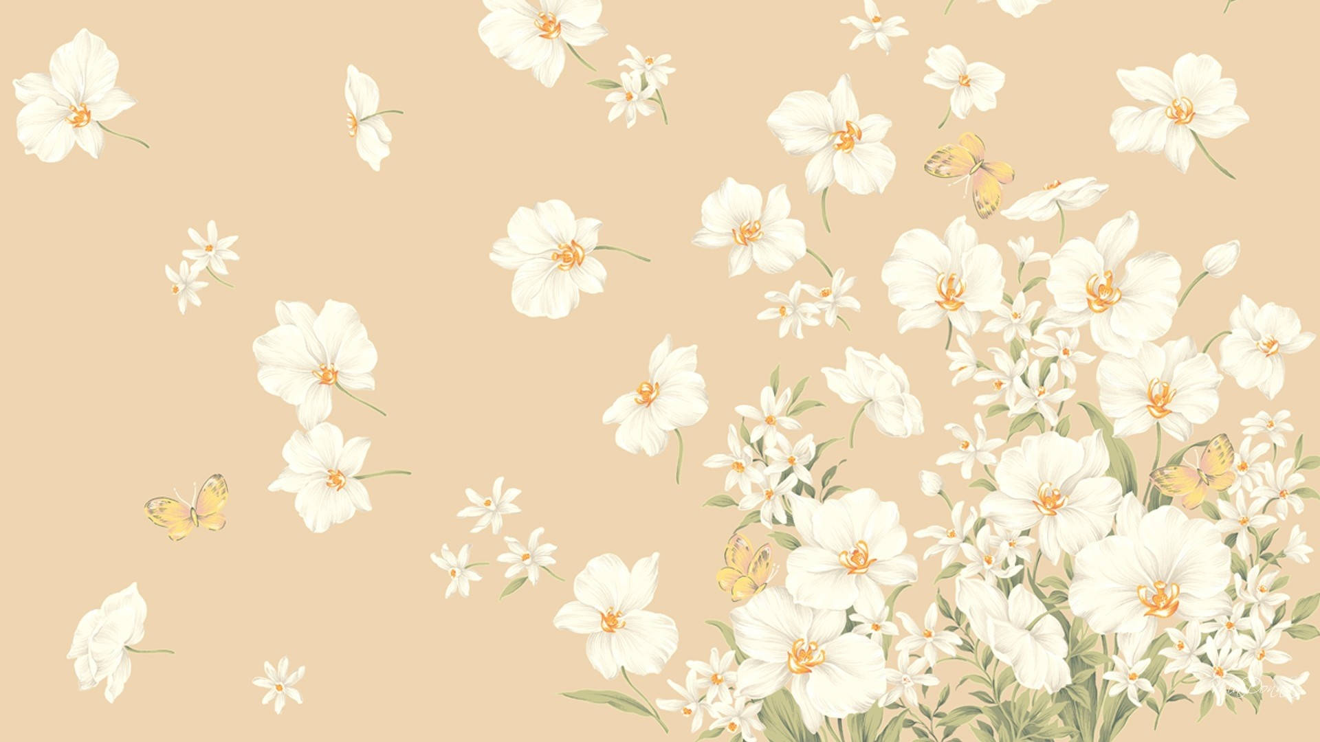 Blomryke Beige Estetiek Skootrekenaar — Beige estetiese GIF Muurpapier
