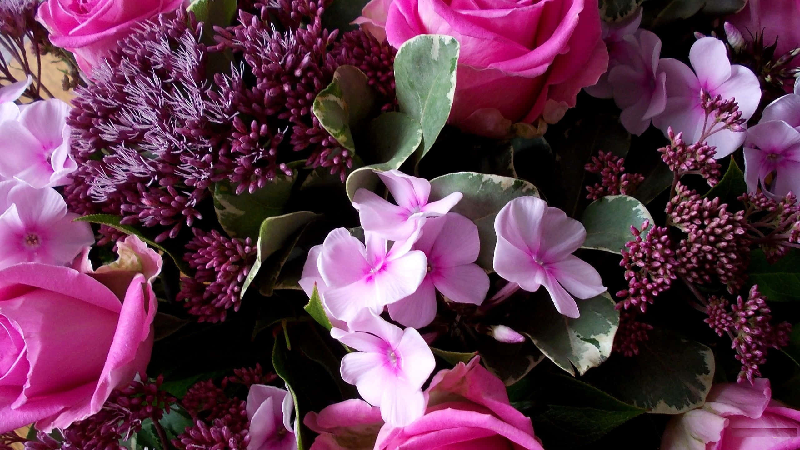 Blomryke Pienk Blomme-agtergrond Muurpapier