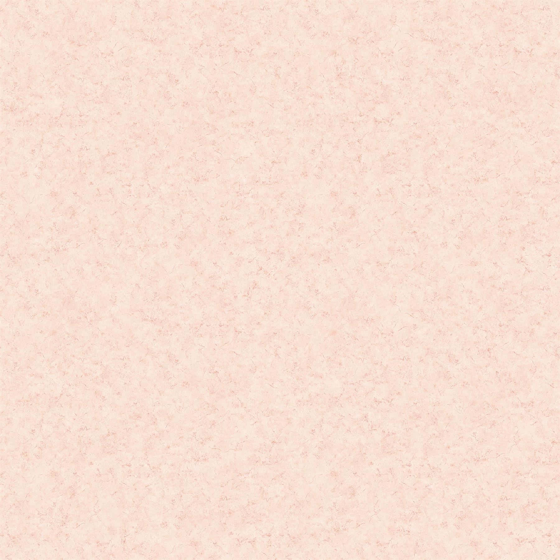 Blosroos Tekstuur Agtergrond Muurpapier