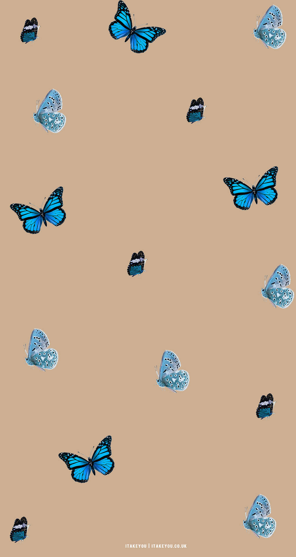 Blou En Beige Skoenlapper Estetika Muurpapier