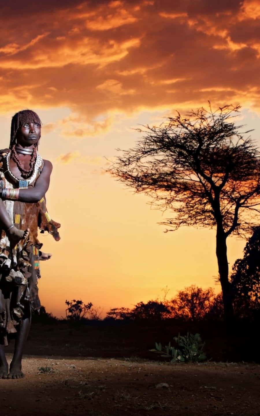 Bly verbind met die nuutste African Phone Muurpapier