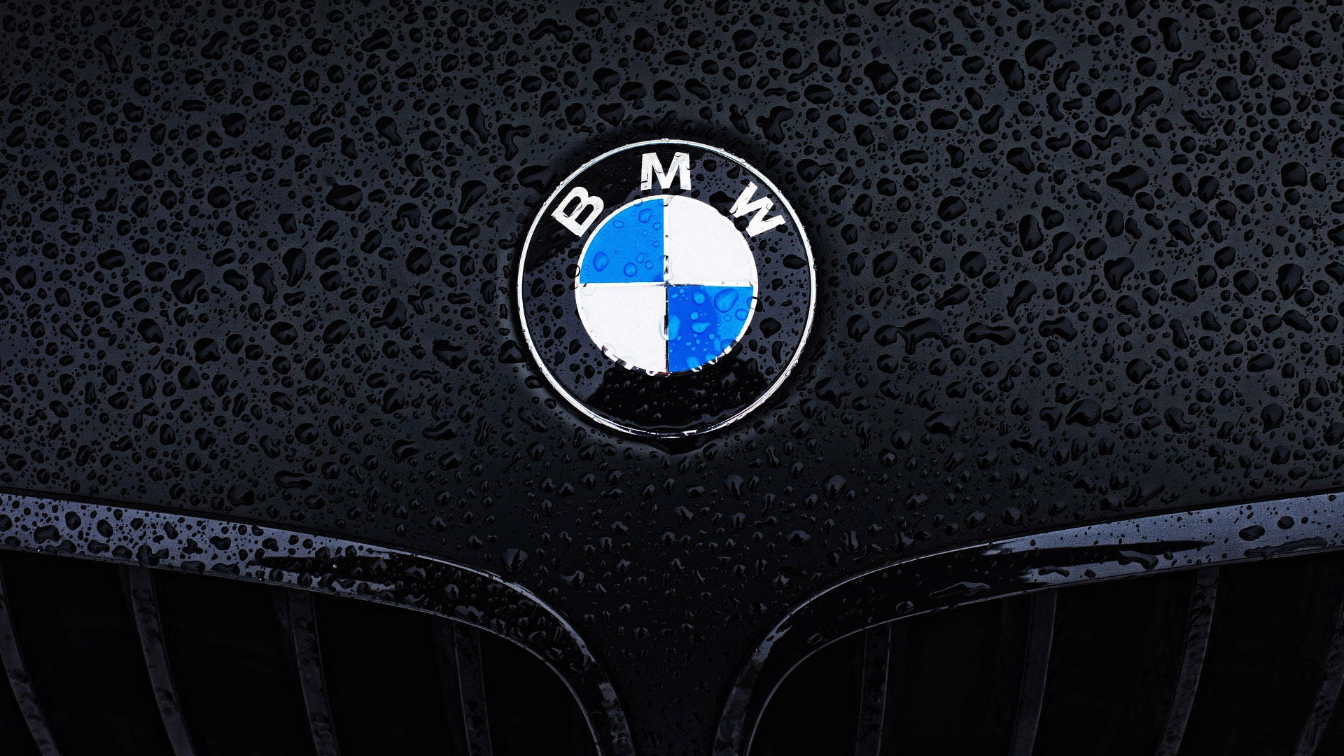 BMW-skootrekenaar Nabyfoto-logo Muurpapier