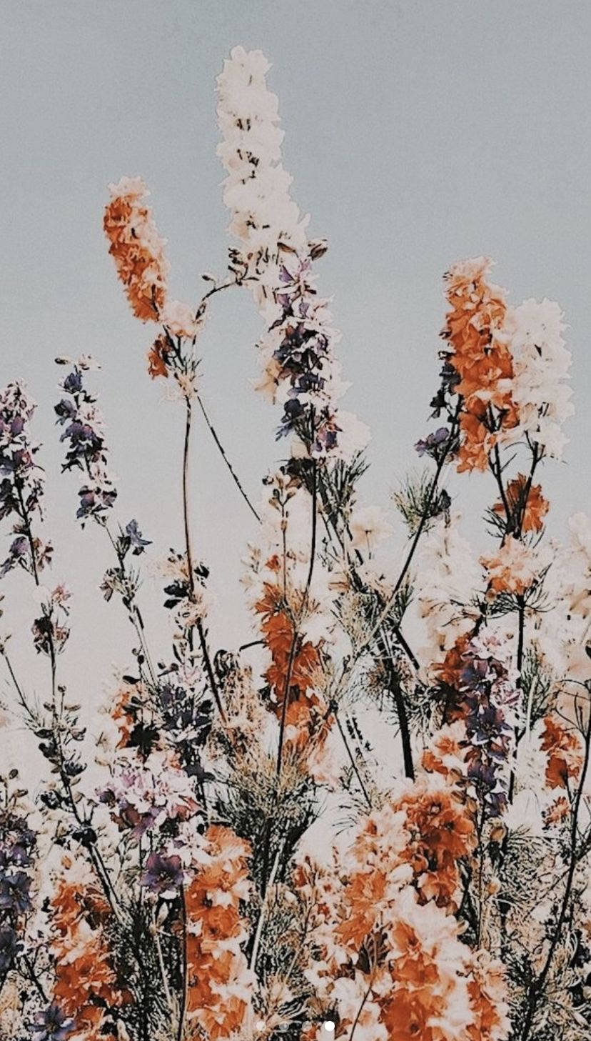 Boho Estetika Blommetuin Muurpapier