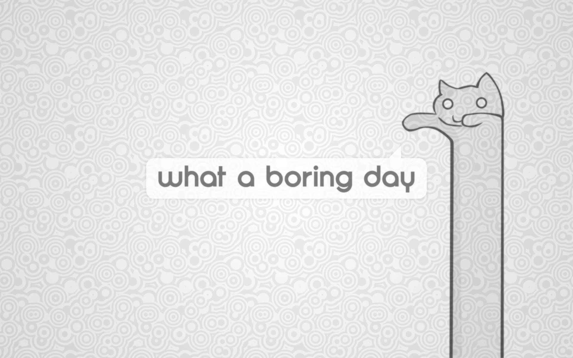Boring Day Tekenprent Kat Kuns Muurpapier