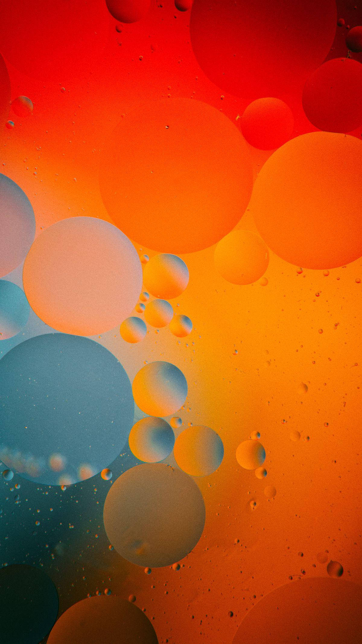 Borrelkuns iPhone 11 Pro Max Muurpapier