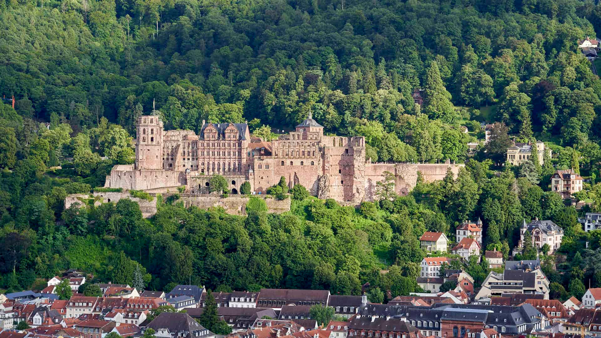 Bos rondom Heidelberg Kasteel Muurpapier