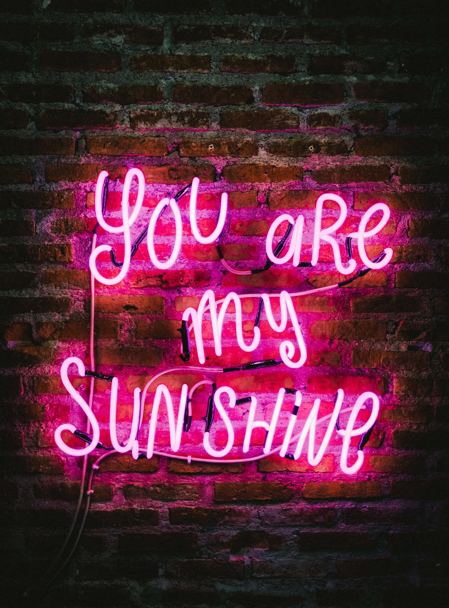Bring kleur tot lewe met hierdie lewendige Neon-estetika Muurpapier