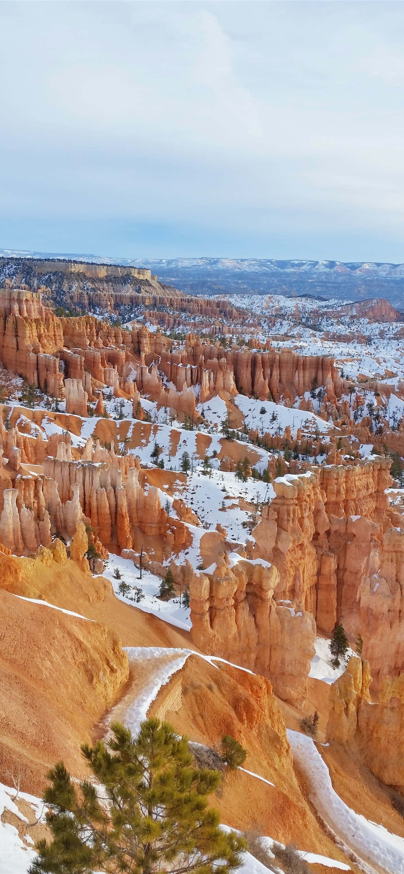 Bryce Canyon Nasionale Park Sneeubui Muurpapier