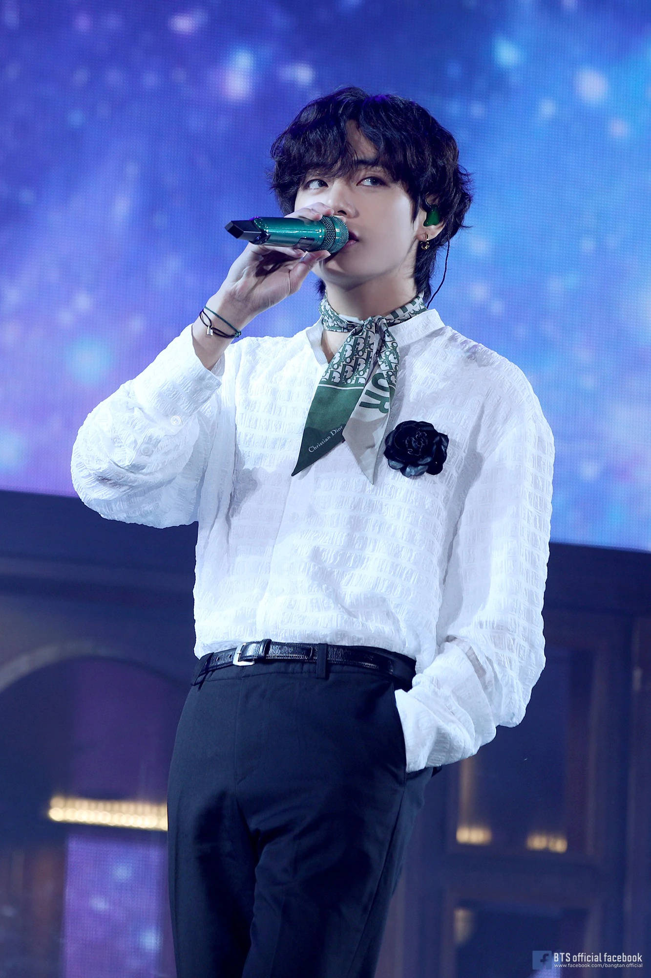 BTS V Dior Serp Muurpapier