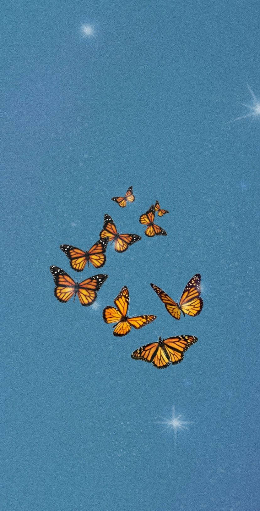 Butterfly Aesthetic Groep Van Monarge Muurpapier