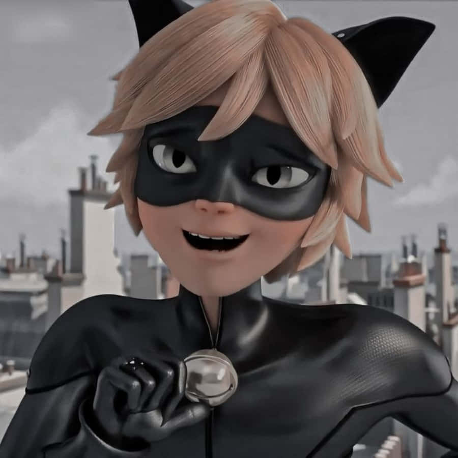 Cat Noir, Beskermer van Parys Muurpapier
