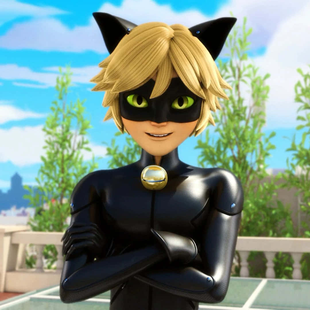 Cat Noir - Die Waaghals Muurpapier