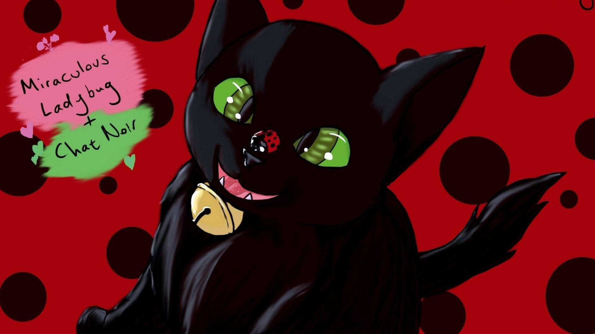 Cat Noir Dierefiguur Muurpapier