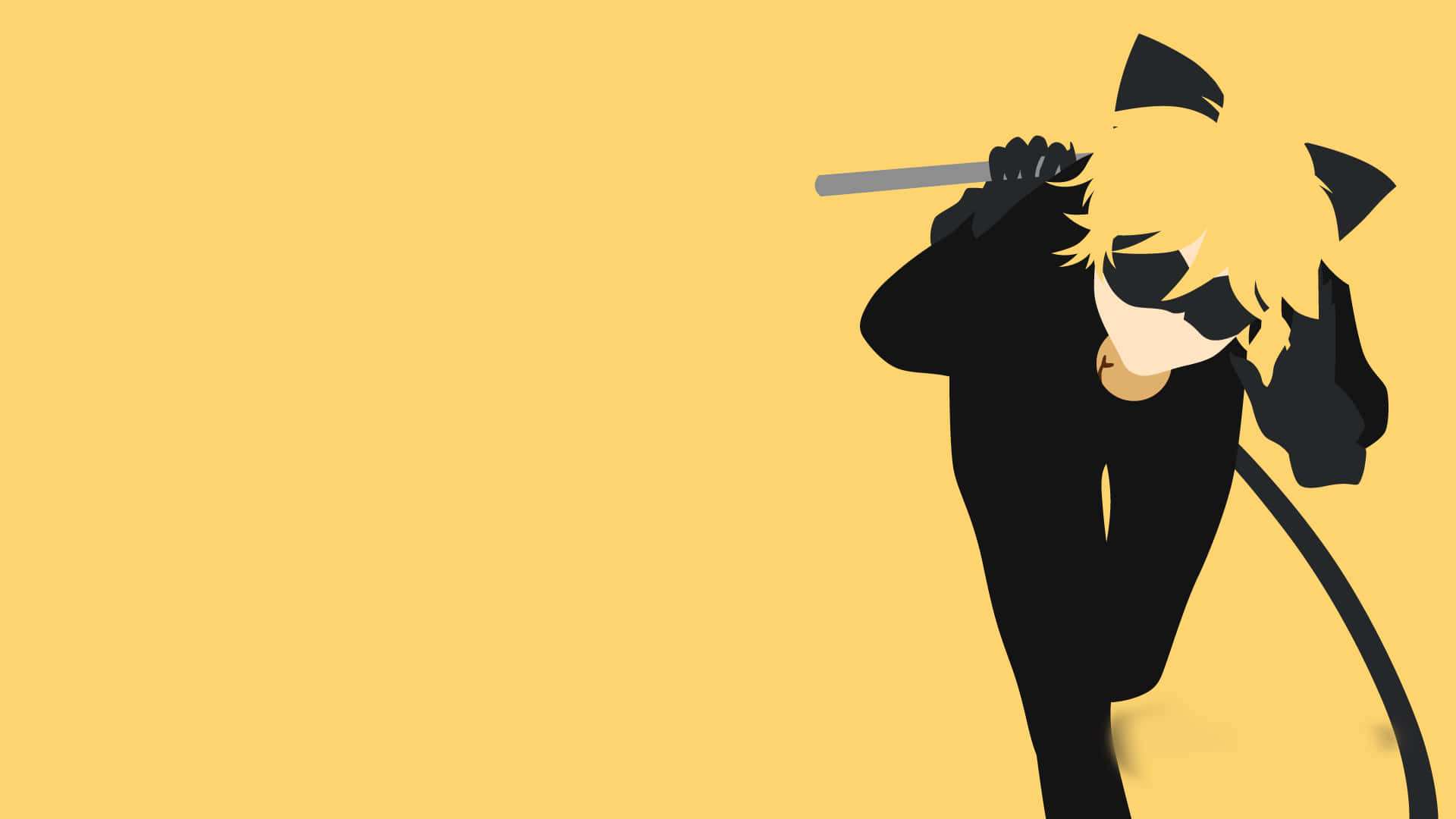 Cat Noir is Gereed vir Avontuur Muurpapier