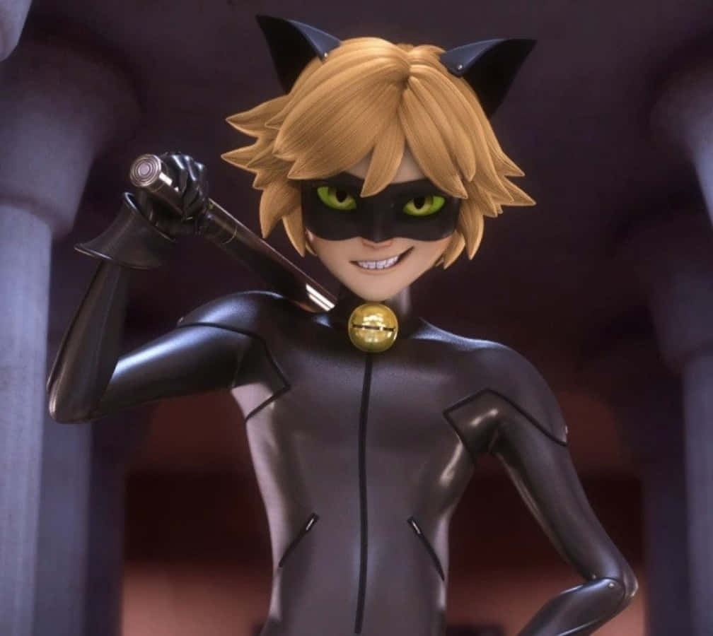 Cat Noir is hier om die dag te red! Muurpapier