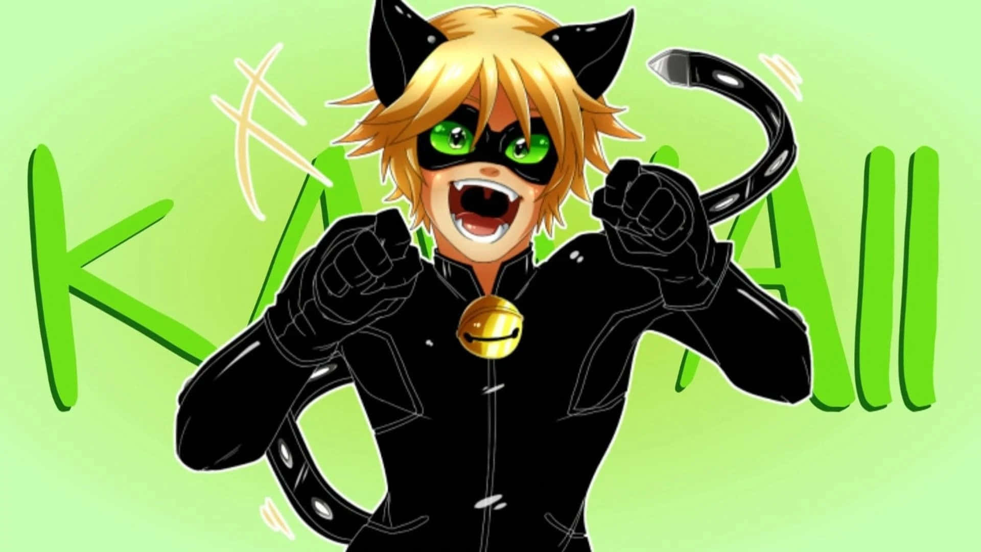"Cat Noir wat sy Gebied Patrolleer" Muurpapier