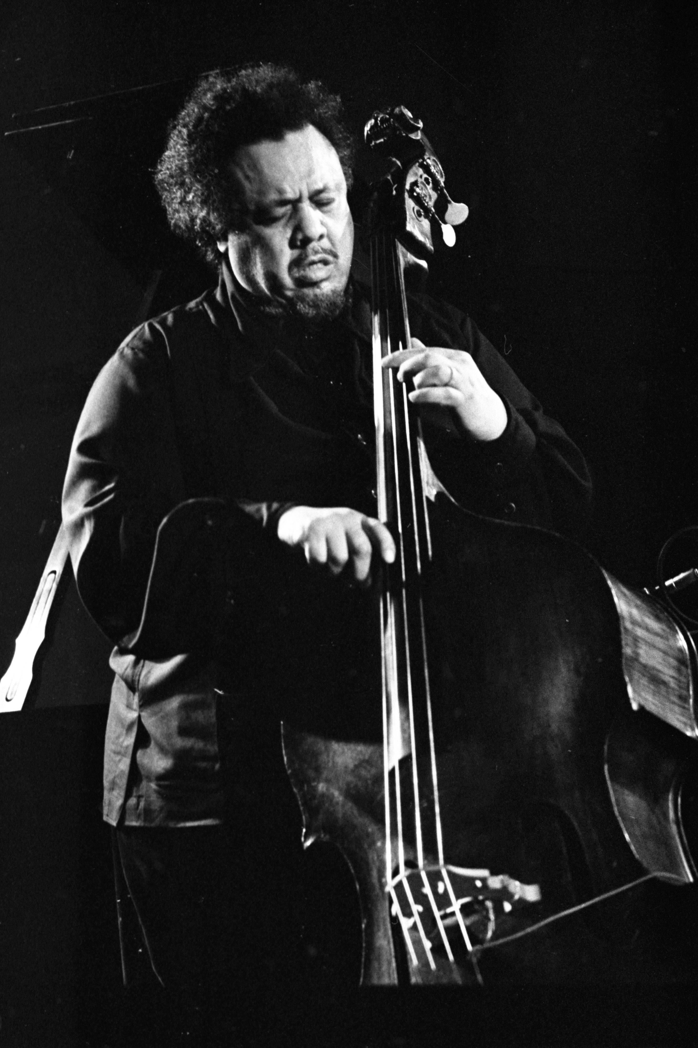 Charles Mingus Sielvol Bespeel Baskitaar Muurpapier