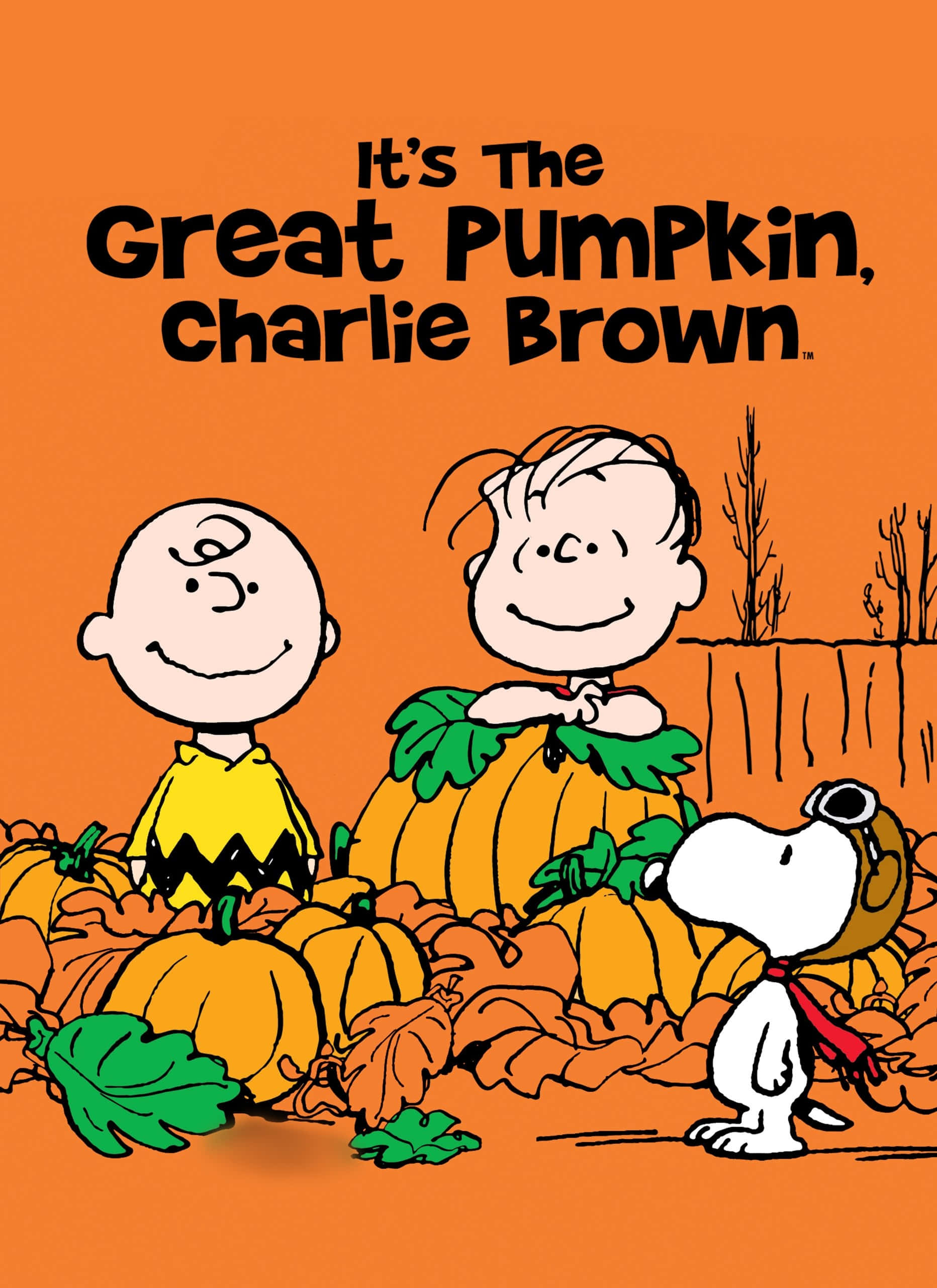 Charlie Brown Halloween prente Muurpapier