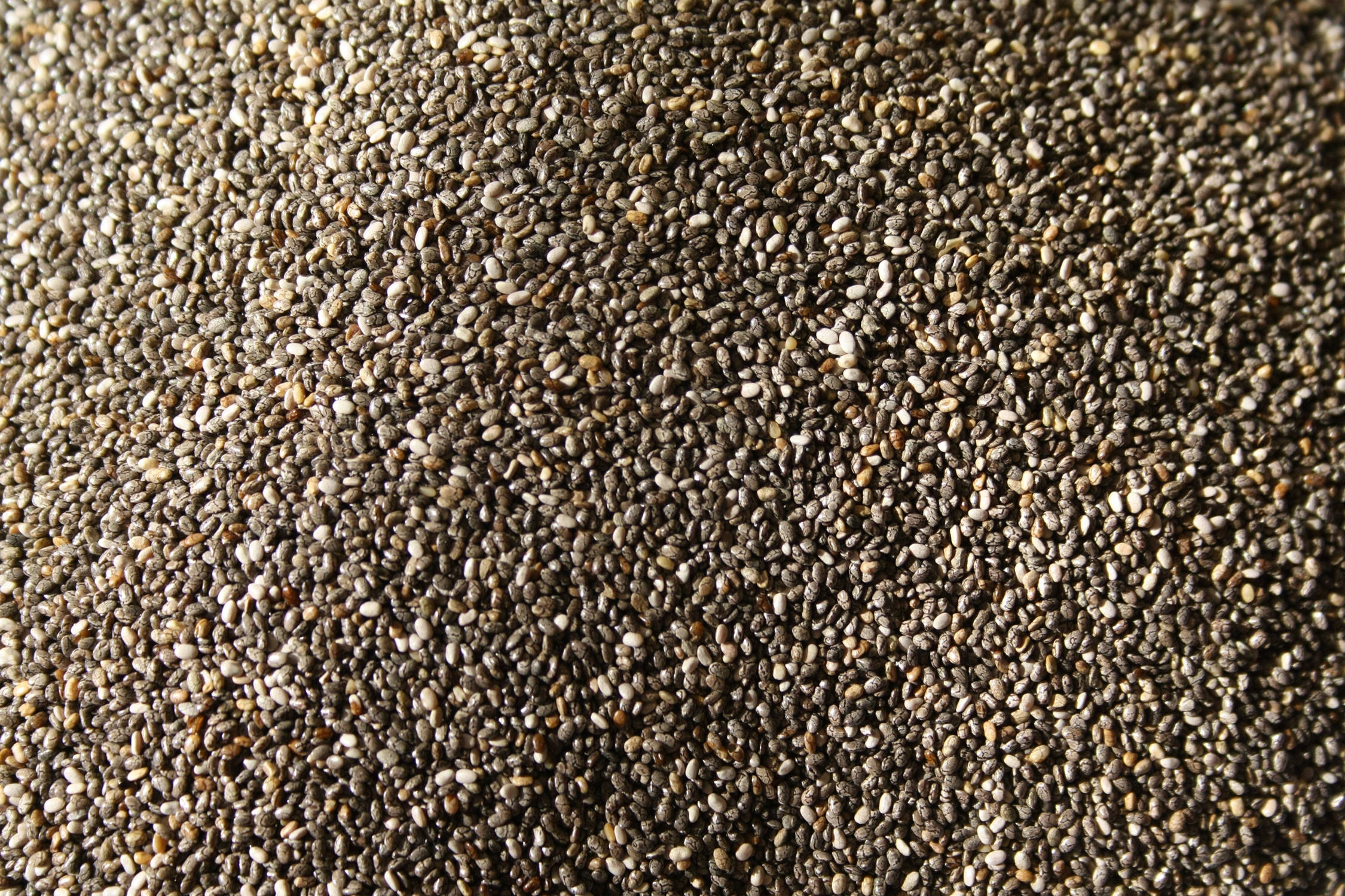 Chia-saad soos Sand Muurpapier
