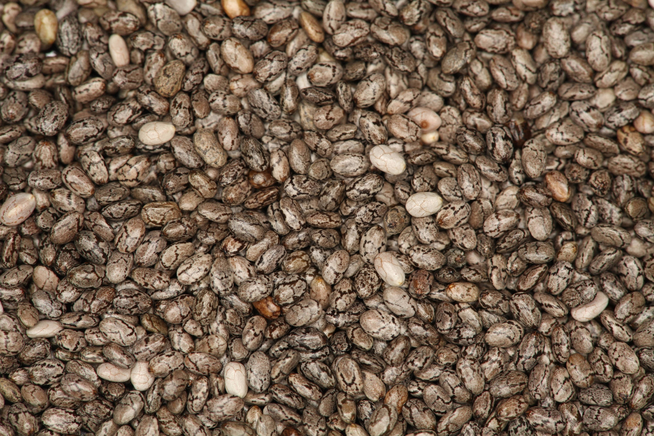 Chia-saadverspreiding Muurpapier