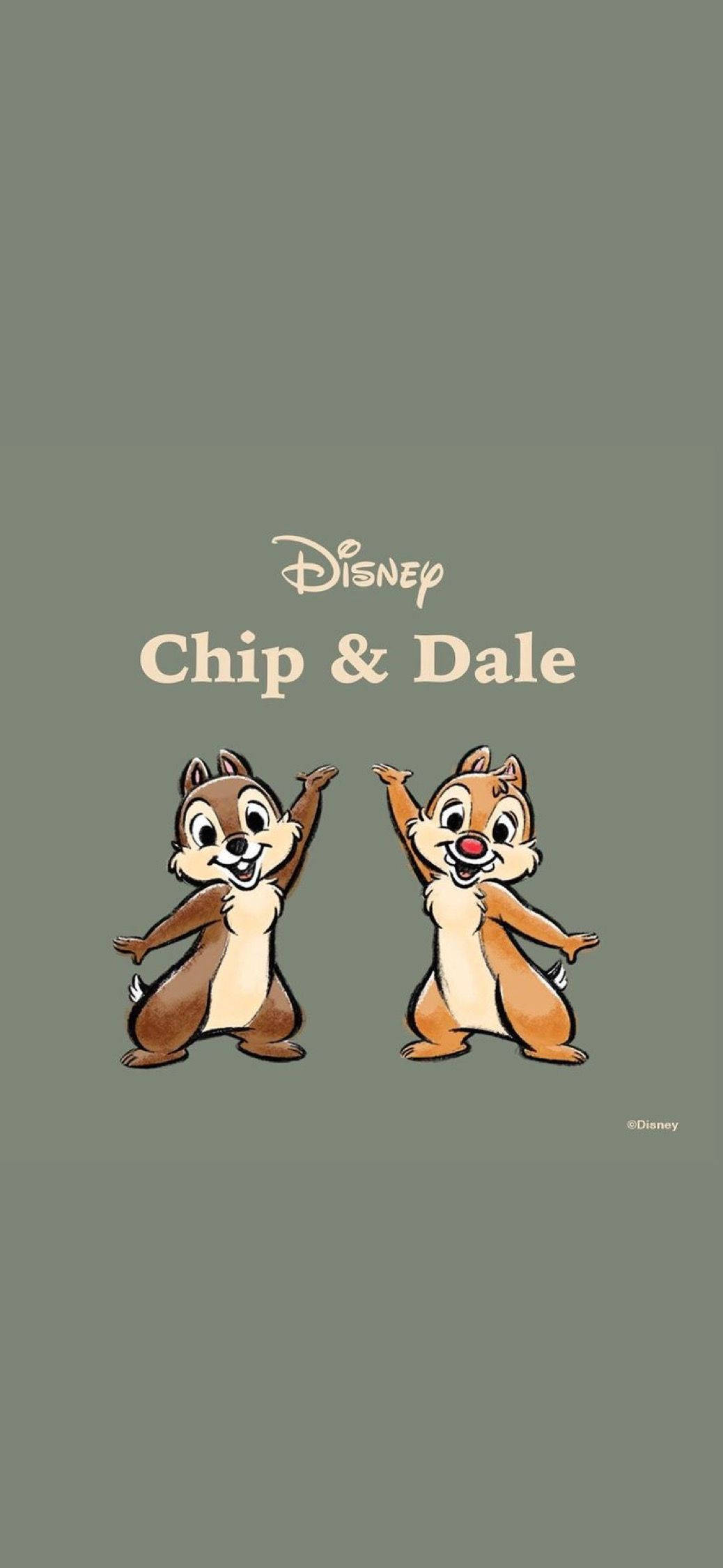 Chip N Dale op Grys Agtergrond Muurpapier
