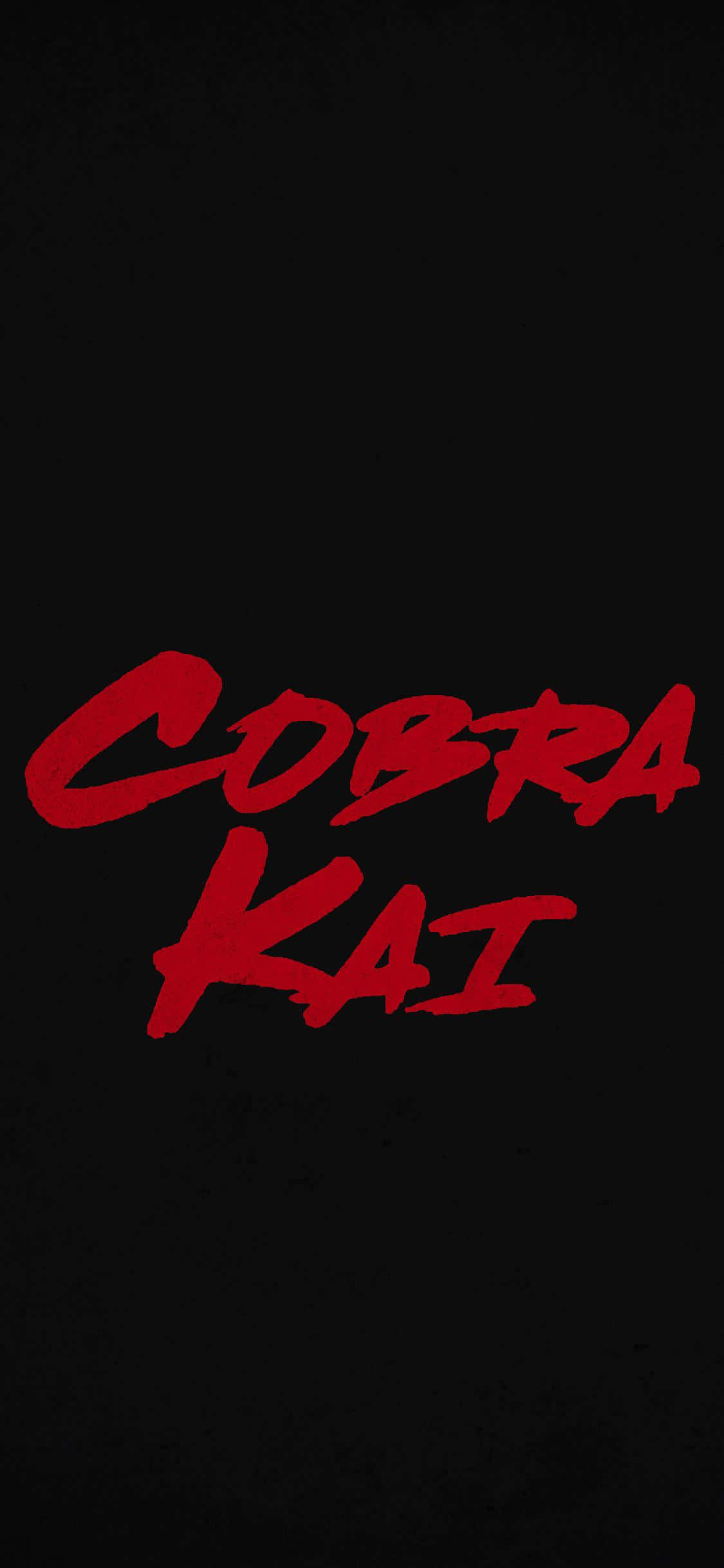 Cobra Kai iPhone Xr Titel Agtergrond Muurpapier