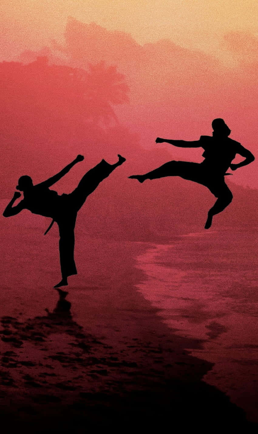 Cobra Kai iPhone Xr Geveg Silhoeët Agtergrond Muurpapier