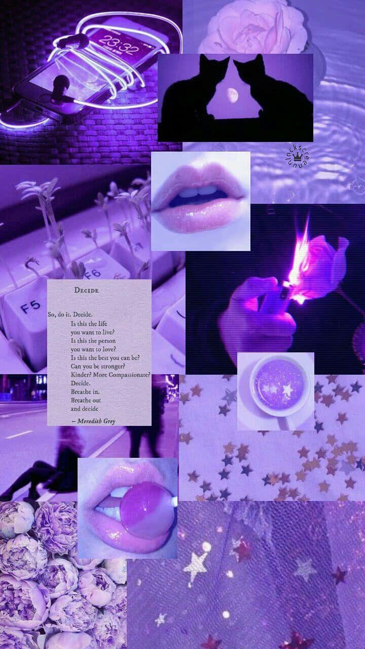 Collage Lavender Pastel Pers Estetiese Agtergrond Muurpapier