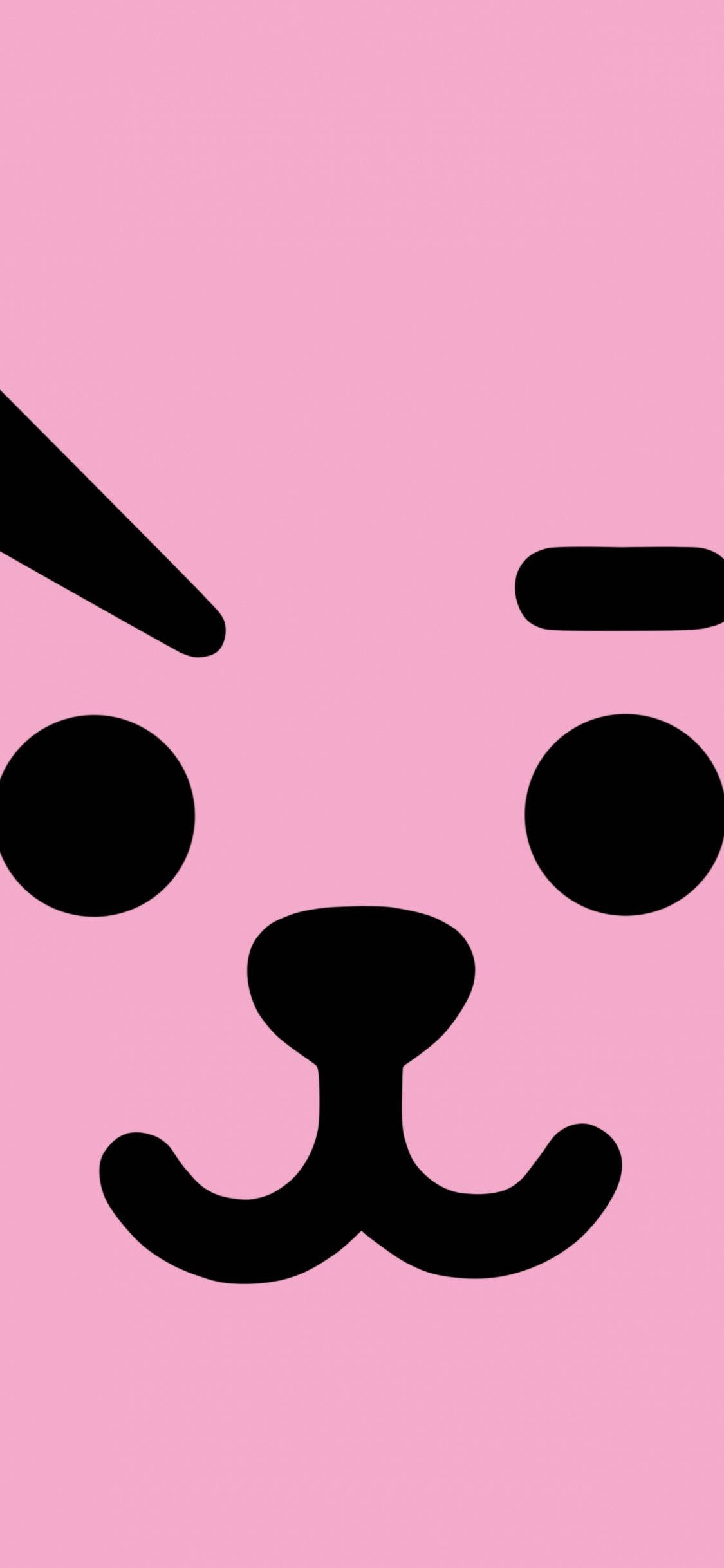Cooky Bt21 Vol Gesig Muurpapier