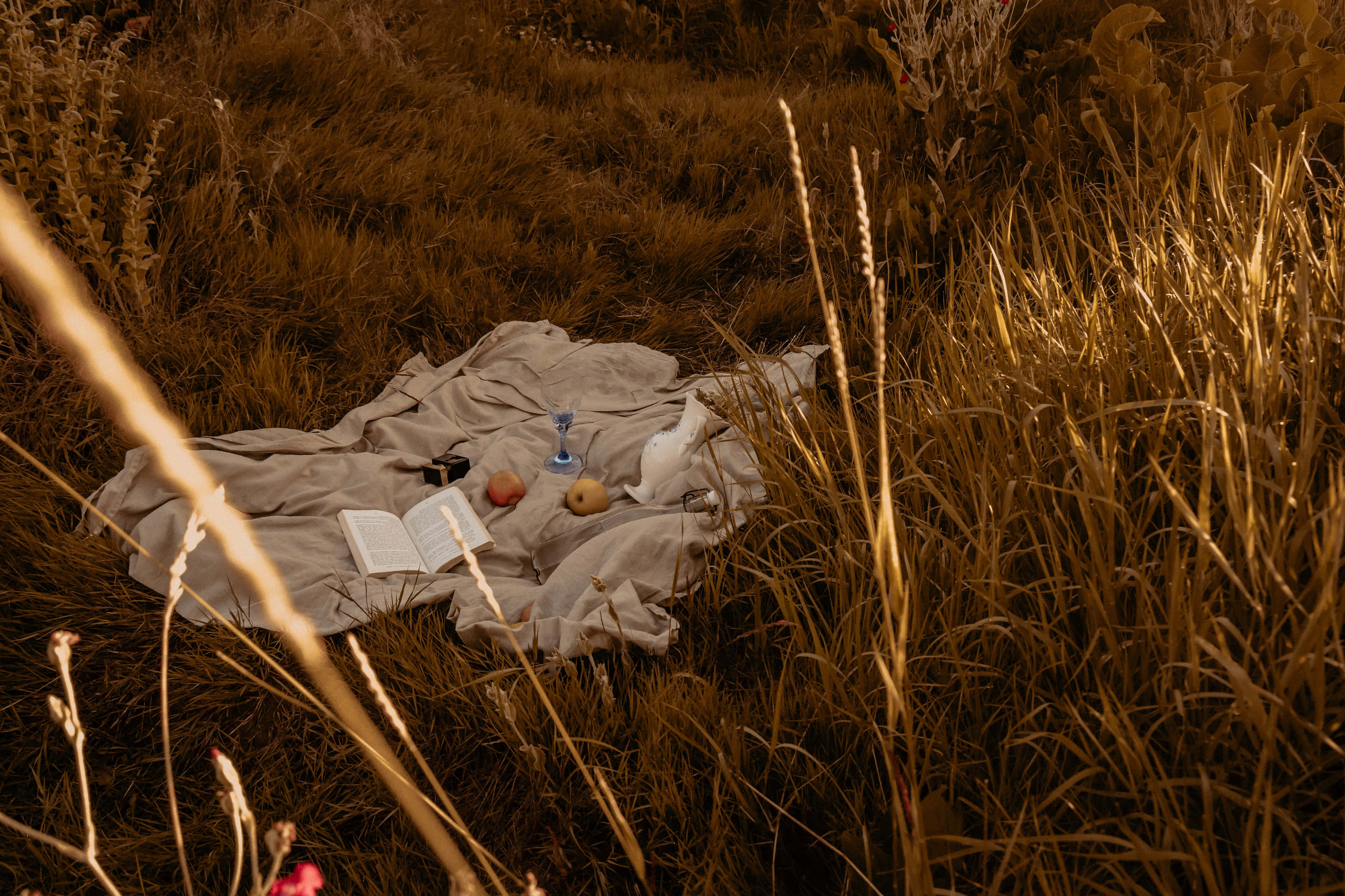 Cottagecore Estetiese Sprokieshuisie Muurpapier