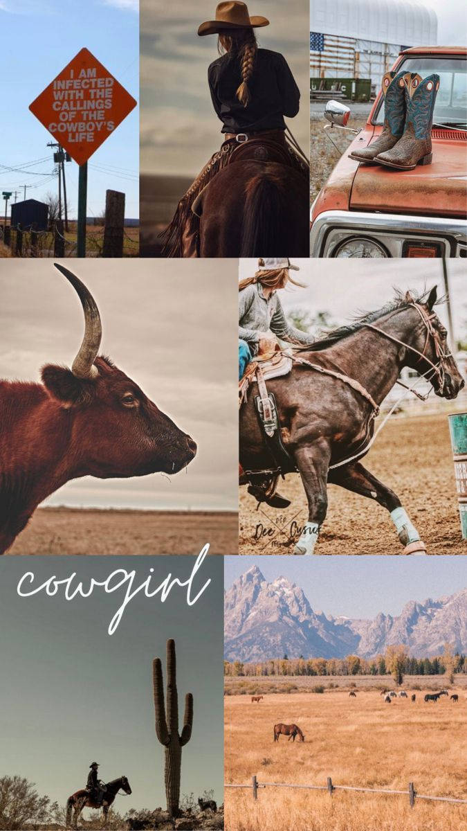 Country Western Baie Perde Collage Muurpapier