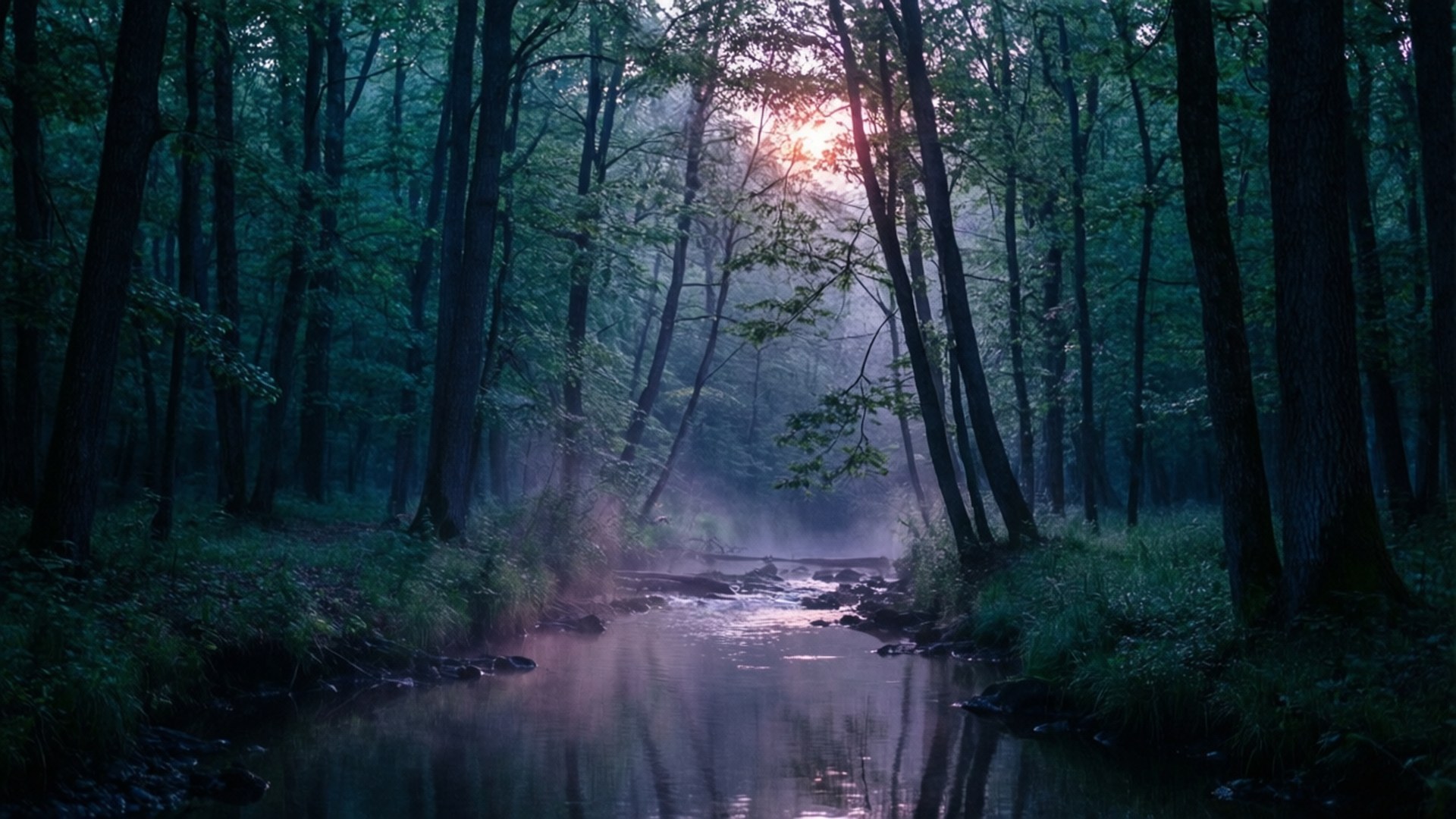 Dagbreek in die Donker Bos Muurpapier