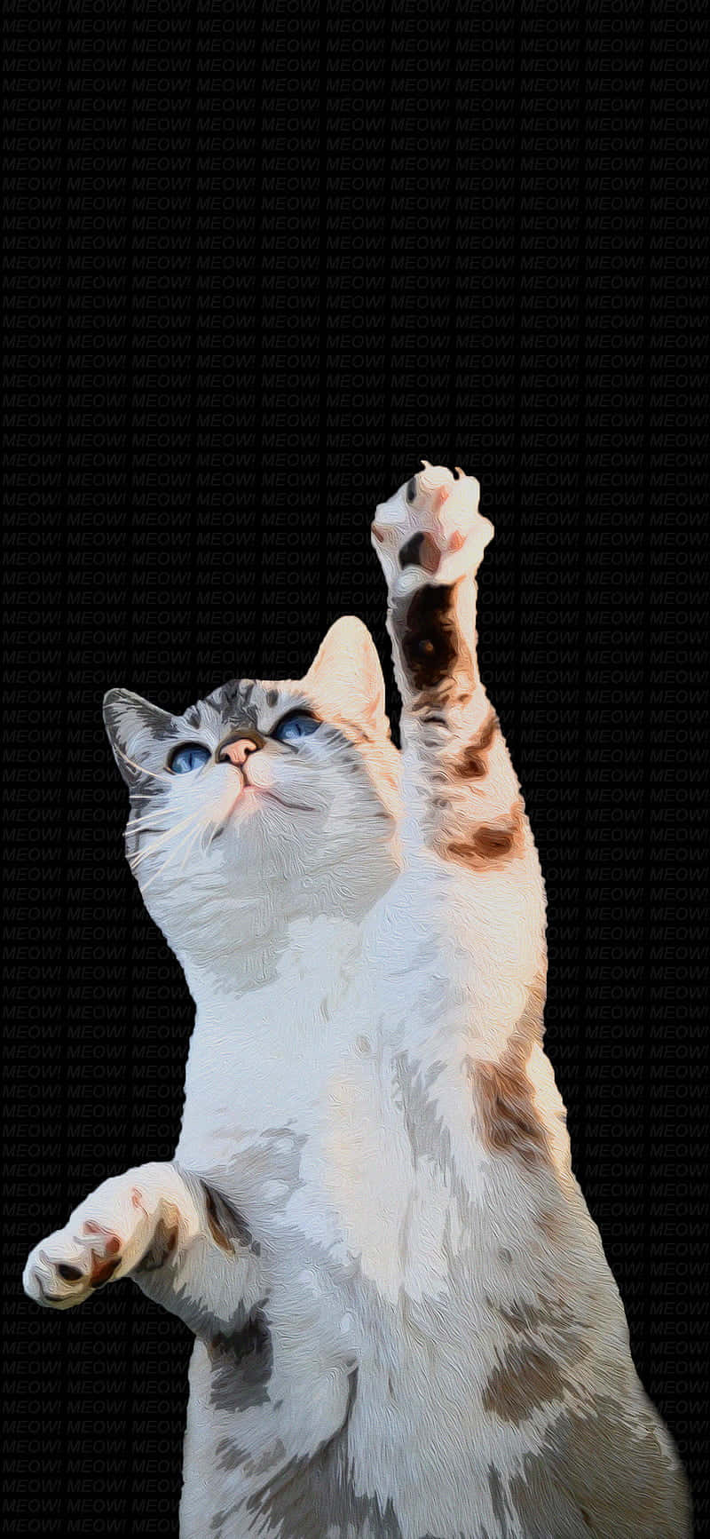 Dansende Kat wat Poot Optel.JPG Muurpapier