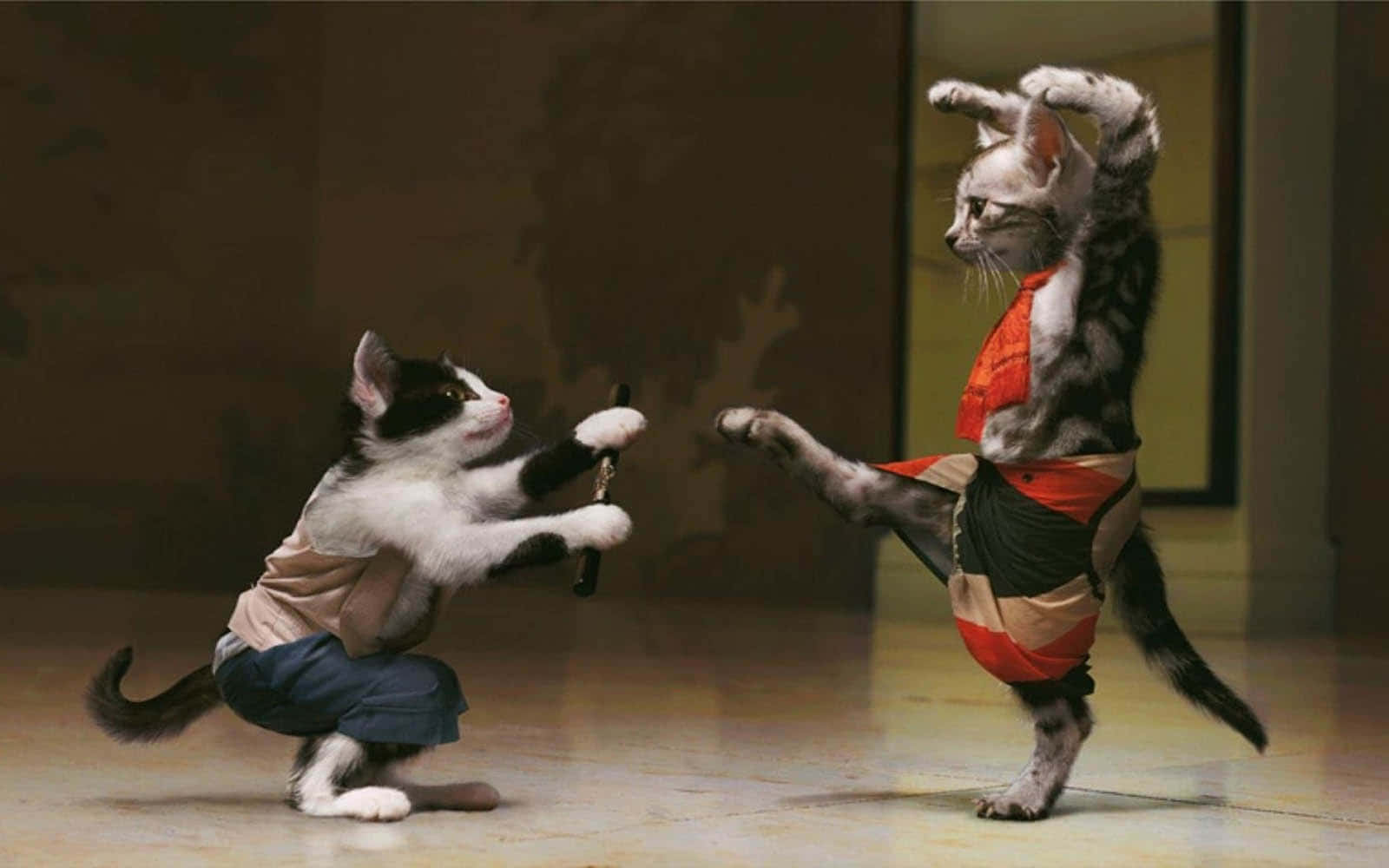 Dansende_katte_in_kostuums.JPG Muurpapier