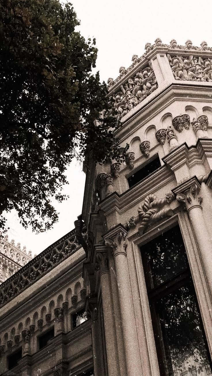 Dark Academia agtergrond — Donker akademie Muurpapier