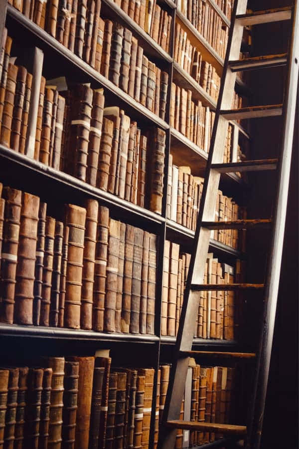 Dark Academia agtergrond — Donker akademie Muurpapier