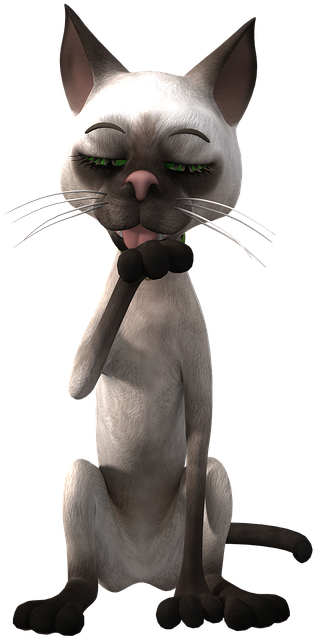 Denkbeeldige Siamese Kat Spotprent Muurpapier