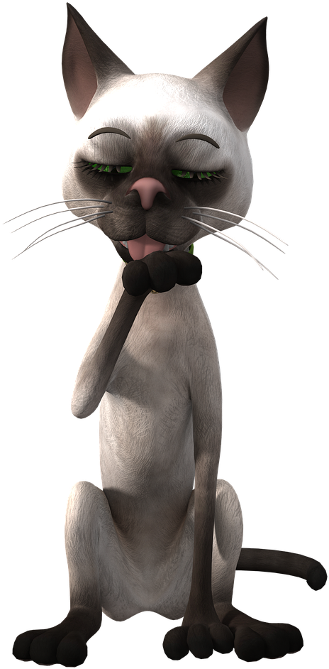 Denkende Siamese Kat Karakter Muurpapier