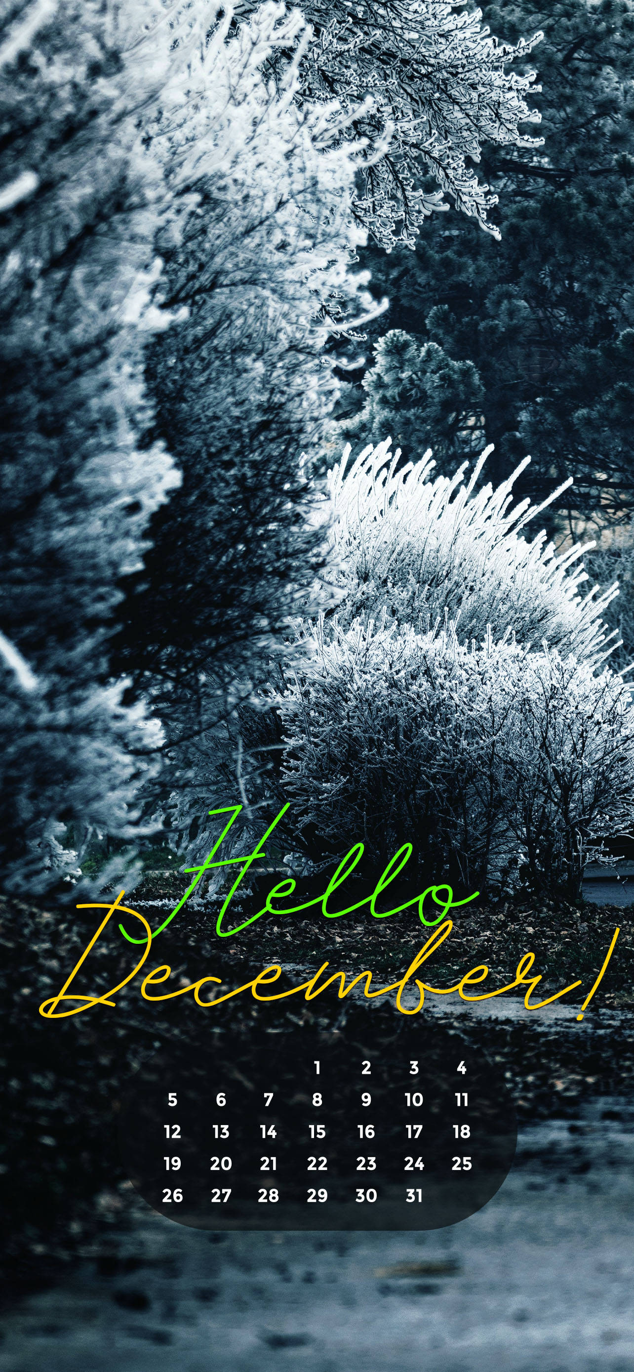 Desember 2021 Wit Kersfees Muurpapier