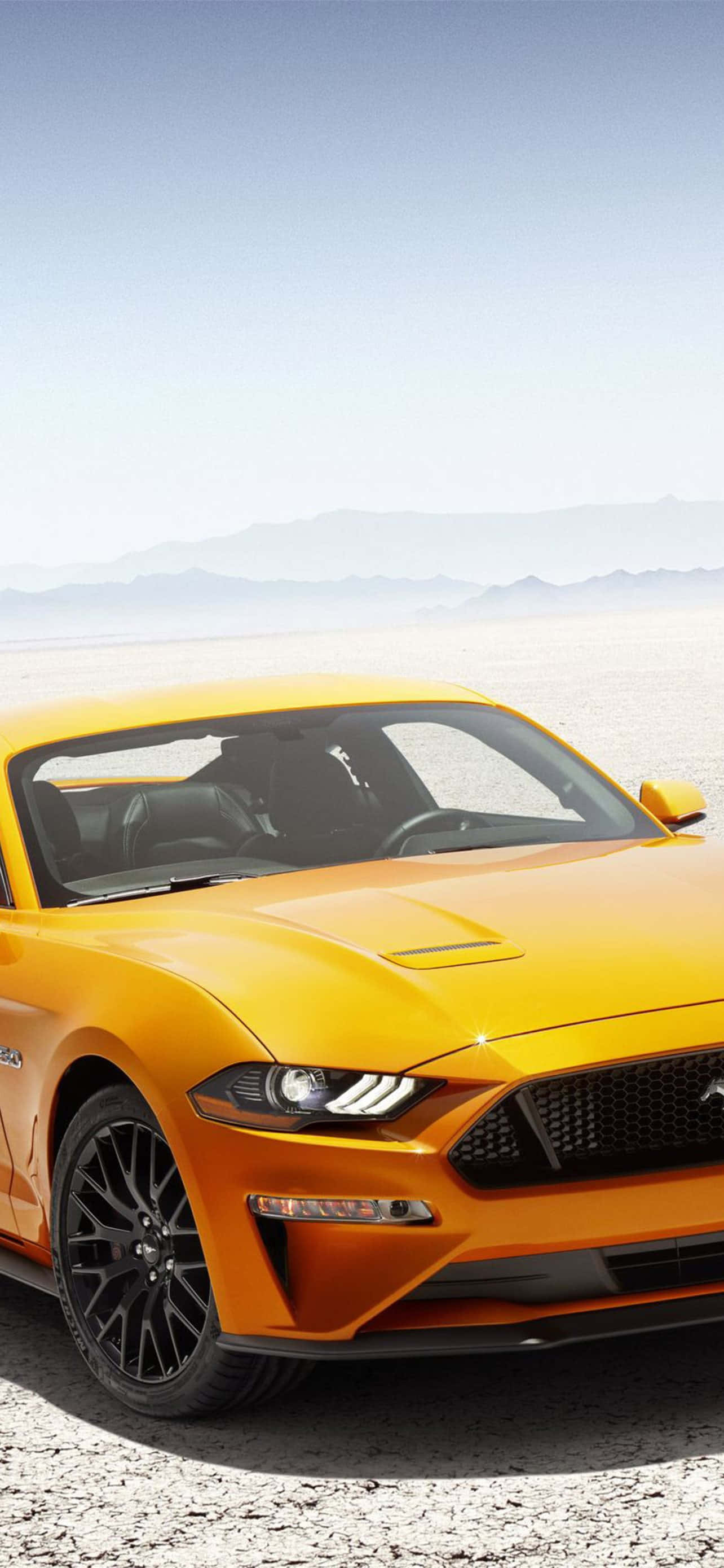 die 2019 ford mustang gt word in die woestyn gewys Muurpapier