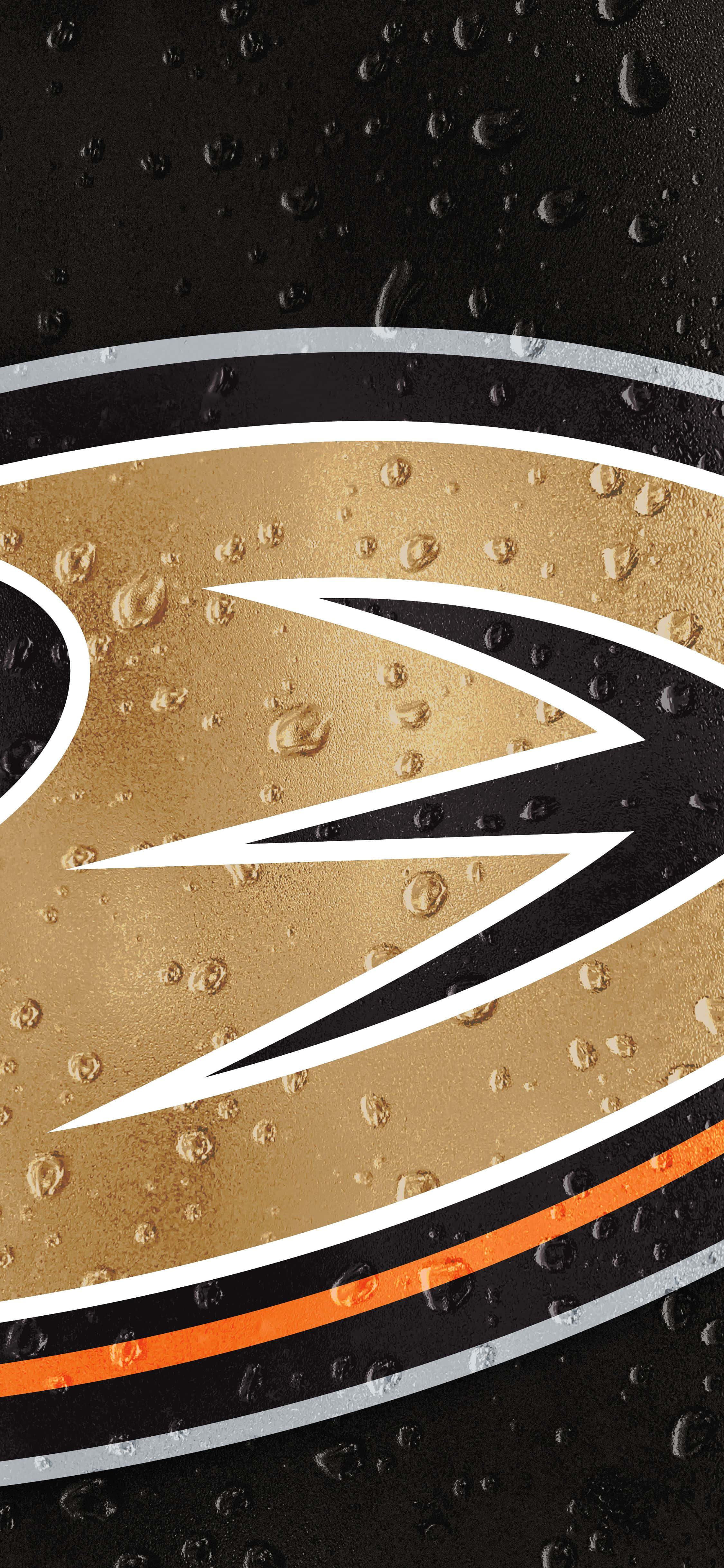 Die Anaheim Ducks betree die ys met styl Muurpapier