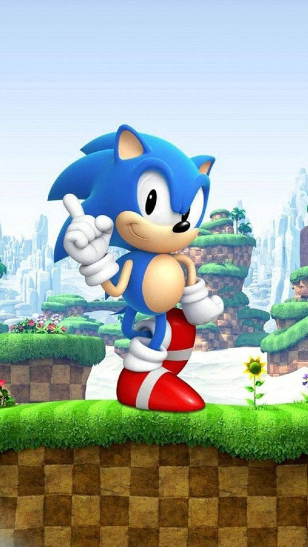 Die avontuurlike krimpvarkie Sonic in groen terrasse agtergrond.