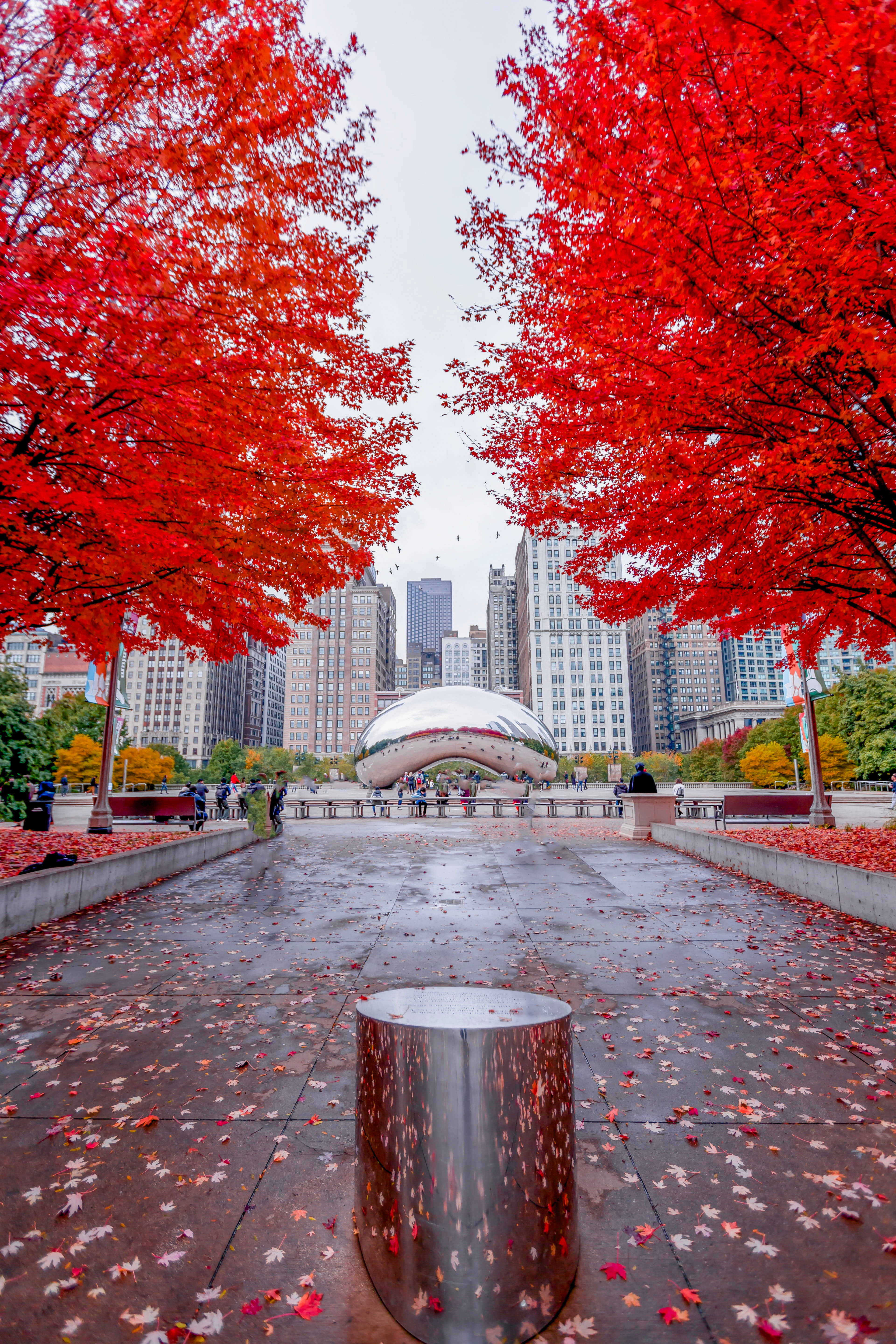 Die Bean Chicago Rooi Blare Muurpapier
