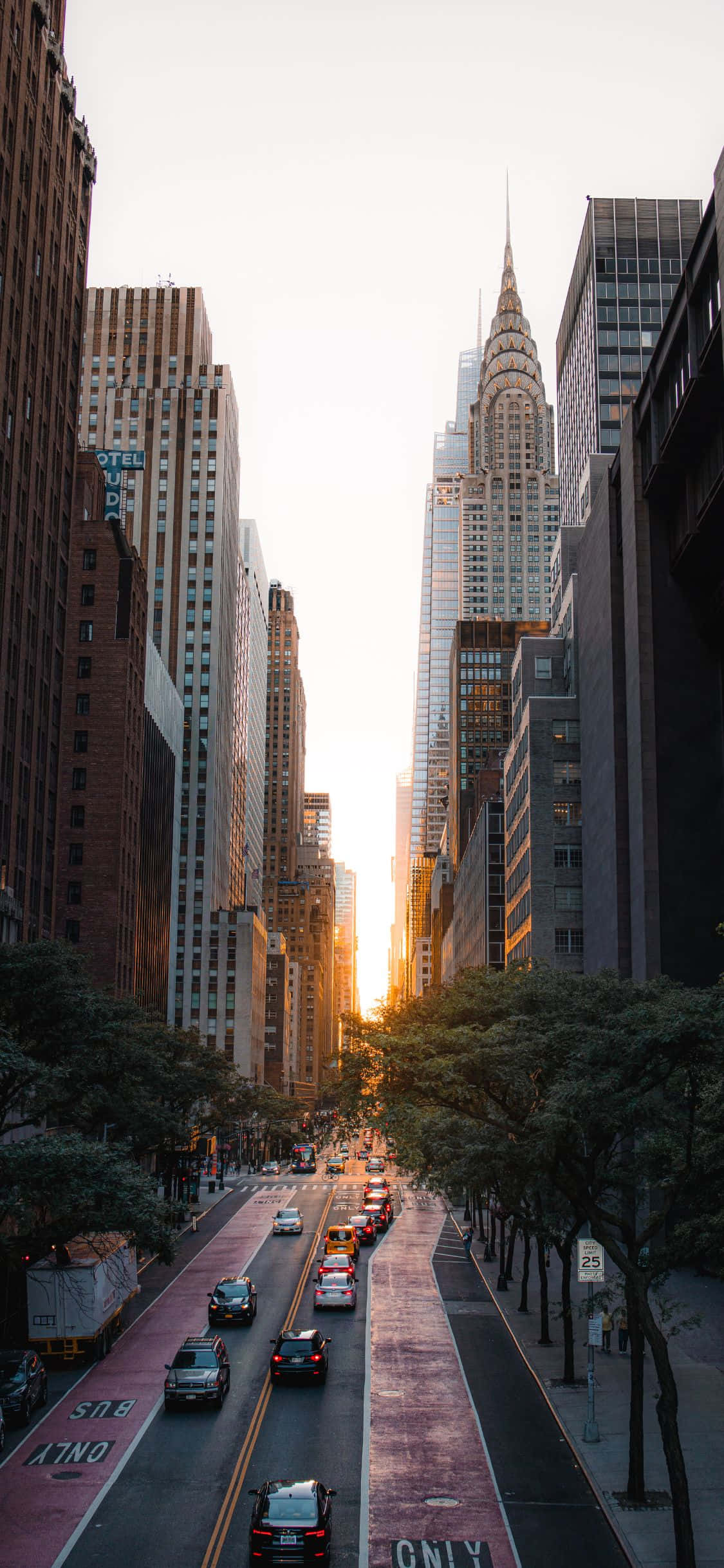 Die Big Apple wat in al sy glorie skyn op die iPhone Xs Muurpapier
