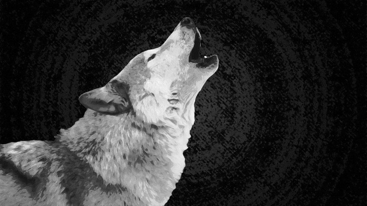 Die Gehuil van 'n Wilde Wolf Muurpapier