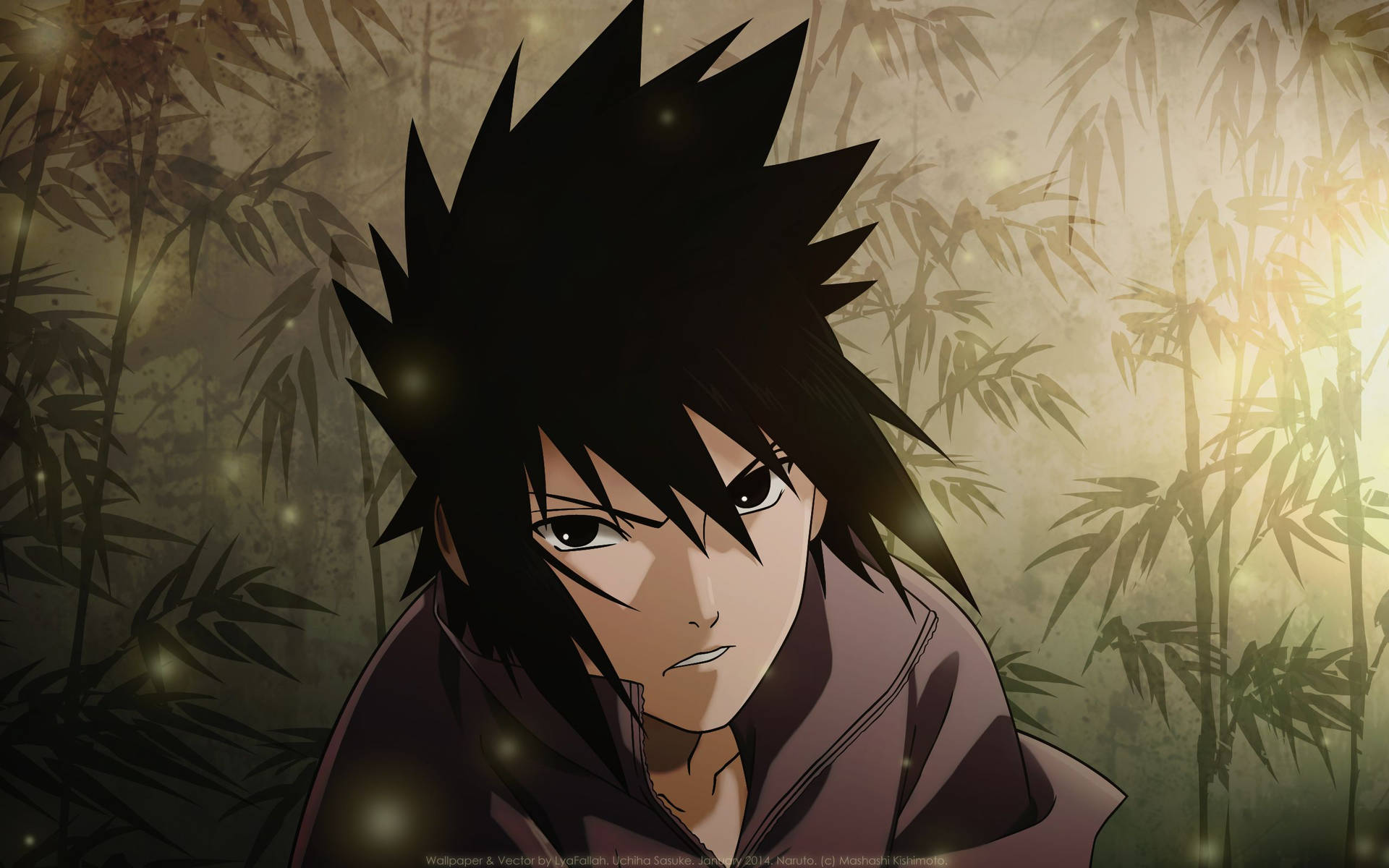 Agtergrond van Sasuke Uchiha bekend as 'n mededinger van Naruto Uzumaki.