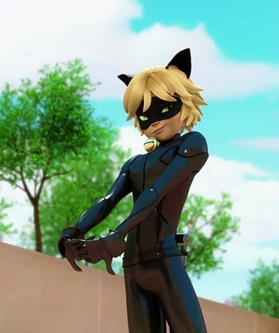 Die Koelste Kat in die Stad - Cat Noir Muurpapier
