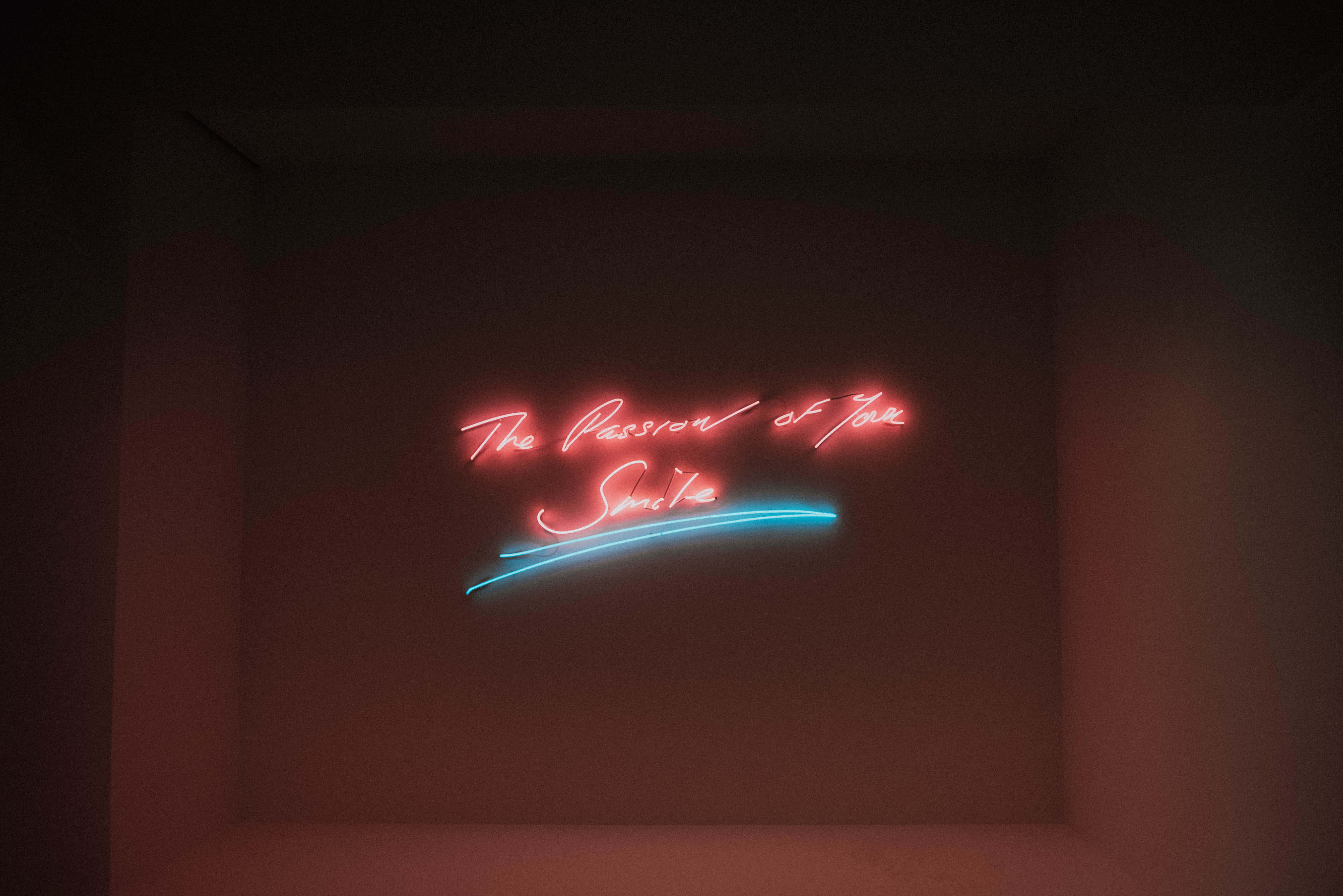 die koningin van die seë, neon, c s s s s s s s s s s Muurpapier