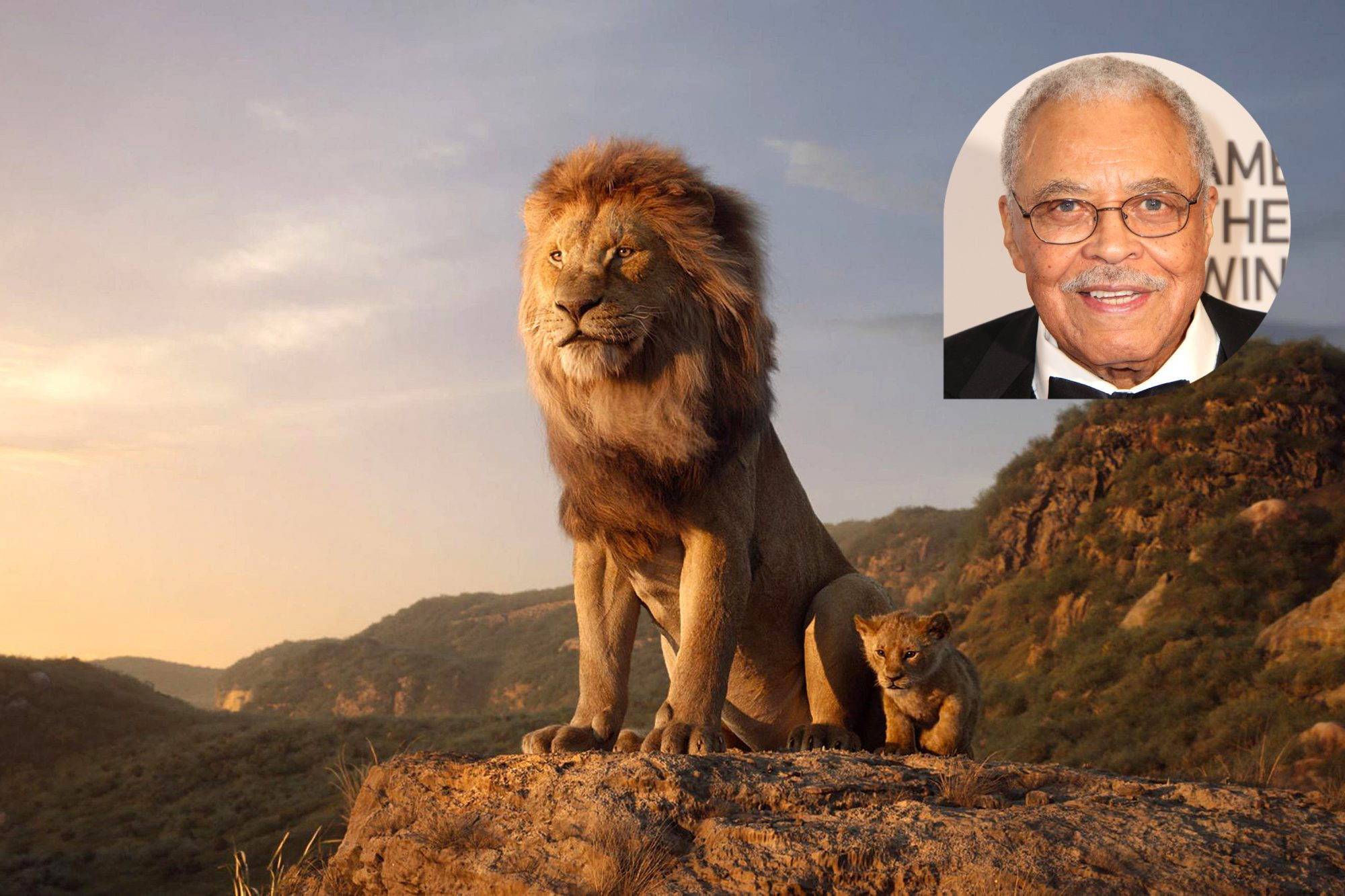 Die Leeu Koning James Earl Jones Muurpapier